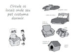 Diário do Pet: edição cães - Imagem 4