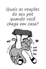 Diário do Pet: edição gatos - Imagem 6
