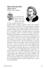 Sherlock e os aventureiros 4: o resgate sobre trilhos - Imagem 7