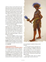A Bandeira do Elefante e da Arara: Livro de Interpretação de Papéis (Edição Expandida) - (Capa dura) - Imagem 4