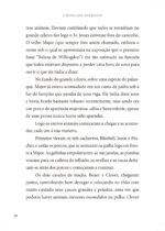 A Revolução dos Bichos - Imagem 4