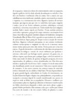 Favelost: the book - Imagem 7