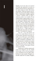 A Mulher no Lago - Imagem 3